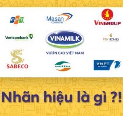 Đăng ký nhãn hiệu, bản quyền tác giả, mã số mã vạch…